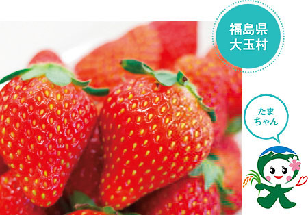 大玉村産いちご とちおとめ(300グラム程度×8パック)