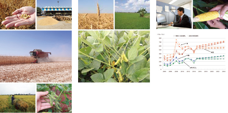 10年先を見通す独自の世界食料需給モデルによる予測分析