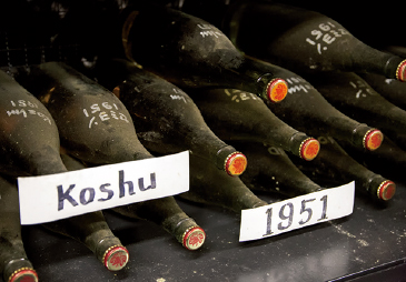 山梨大学で半世紀以上前に醸造されたワインも保管されている