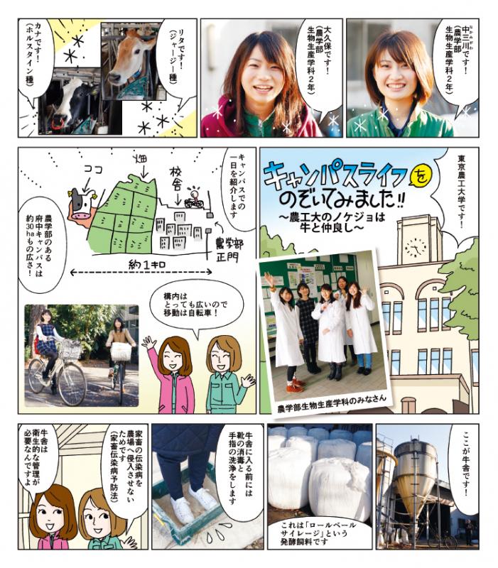 キャンパスライフをのぞいてみました!!~農工大のノケジョは牛と仲良し~
