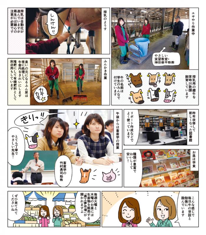 キャンパスライフをのぞいてみました!!~農工大のノケジョは牛と仲良し~