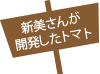 新美さんが開発したトマト
