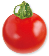 プリンセスあかねちゃん