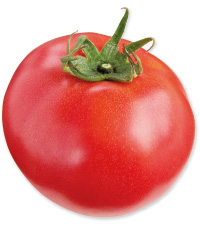 プリンセスまお