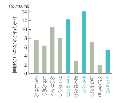 ケルセチン含有量の比較