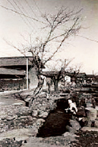 昔から生活用水として利用。