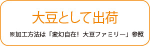 大豆として出荷※加工方法は「変幻自在！大豆ファミリー」参照
