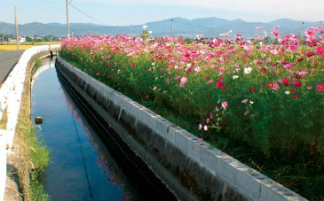 現在の堀川用水。