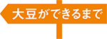 大豆ができるまで