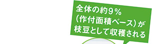 全体の約9パーセント(作付面積ベース)が枝豆として収穫される