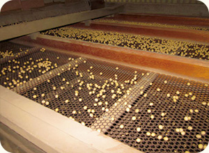 乾燥させた大豆を、機械を使って形の良さや大きさで選別。厳しい検査を経て、出荷する。