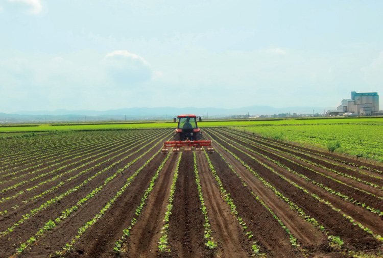 小さなあぜを立てて排水性を高めることにより、湿害が軽減される。