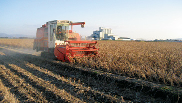 近隣の集落転作組織と共同でコンバインを所有。1台で年間70ヘクタールを刈り取る。