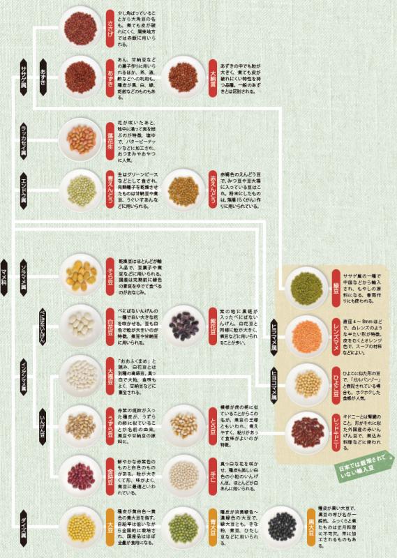 日本で食される主な豆