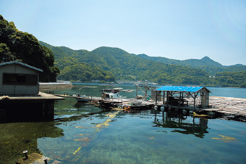 津久見湾の穏やかな内湾に面した作業所。海底が見えるほど海は透き通って美しい。