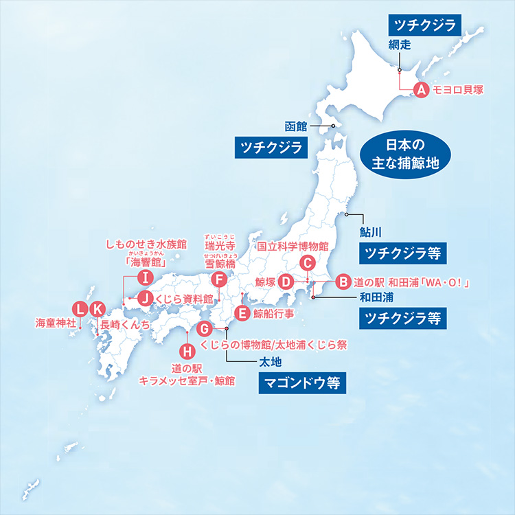 全国「鯨」マップ