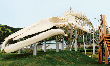 (B)道の駅和田浦「WA・O!」