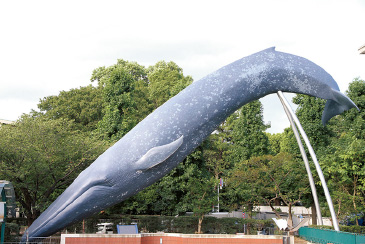 (C)国立科学博物館