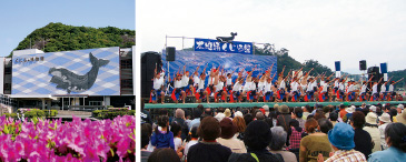 (G)くじらの博物館/太地浦くじら祭