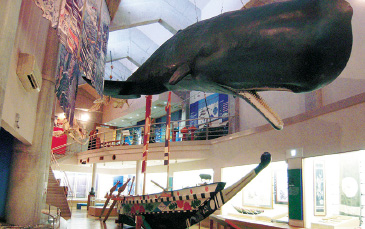 (H)道の駅 キラメッセ室戸・鯨館