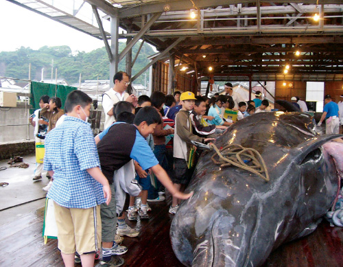 例年、初漁の日に地元の小学5年生を招いて解体を見学してもらう。手際のよい作業に子どもたちの目はくぎづけ。