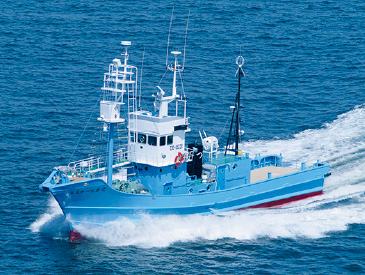 2011年に新造した30トンの捕鯨船。この船に対して年間14頭の捕獲枠が与えられる。乗員は6名。