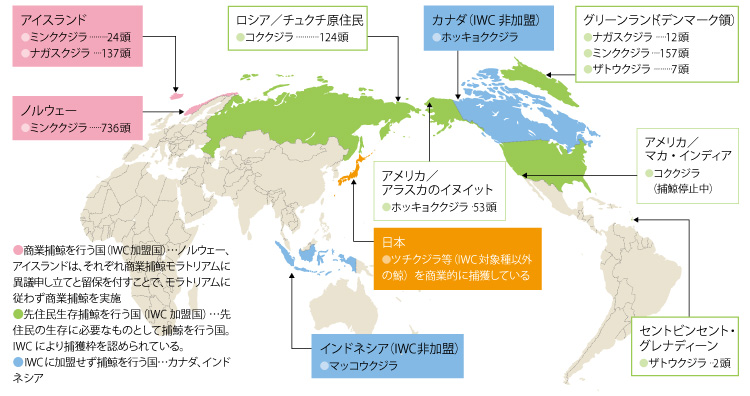 商業捕鯨/先住民生存捕鯨等を行っている国々
