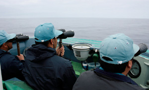 呼吸をするために水面を浮上してくる鯨を見逃さないように双眼鏡を使って一日中目視による観察を続ける。