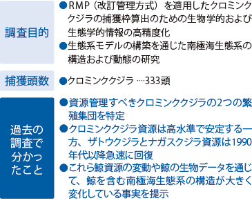 新南極海鯨類科学調査(2015/16年開始)