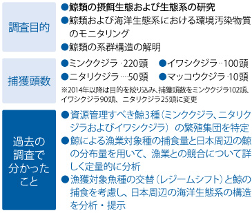 第II期北西太平洋鯨類捕獲調査(2000年開始)