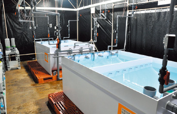 施設には飼育用の水槽が並ぶ。ここでシラスウナギの量産研究が日々行われている。