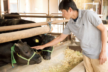 「体調はどうですか?」。時間さえあれば、牛に触れながら話しかける。
