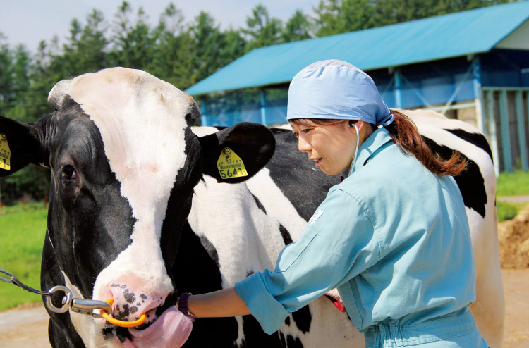 産業動物獣医師は安全で良質な畜産物の安定供給に必要不可欠。