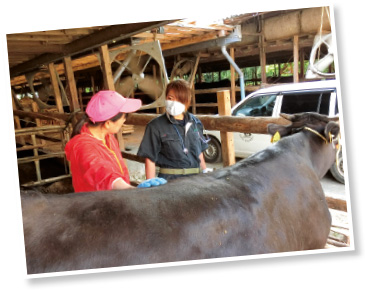 「牛の病態を分かりやすく説明し、農家さんの気持ちに添えるような診療がモットーです」