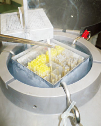 液体窒素で冷凍保管された精液