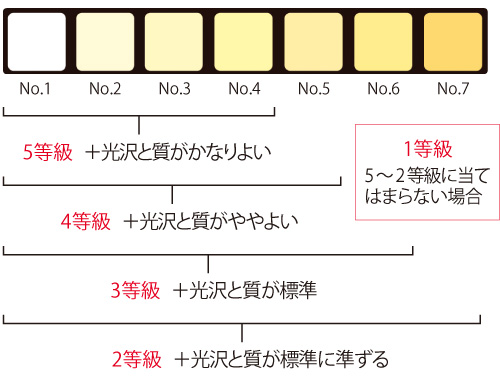 脂肪の色沢と質