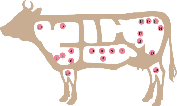 牛肉の部位図鑑