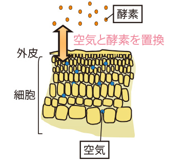 凍結含浸法の原理