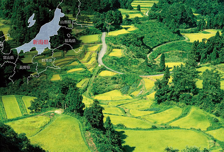 魚沼地方の棚田(新潟県)