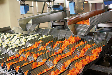 具材の計量、カレーソースの充填（じゅうてん）といった、実際の製造ラインを見学できる。