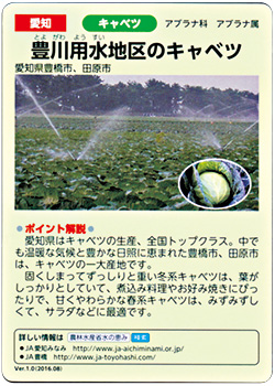 水の恵みカード（表面）