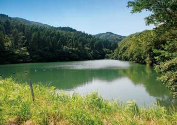 ホダ場の散水に利用する山奥のため池は先人が苦労して築いたもの。