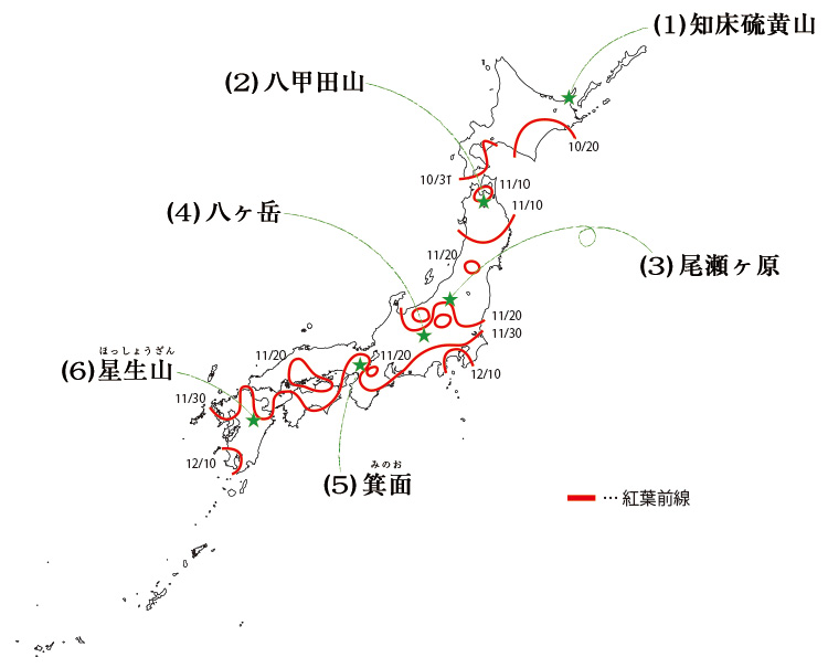 森へ行き、紅葉を楽しもう