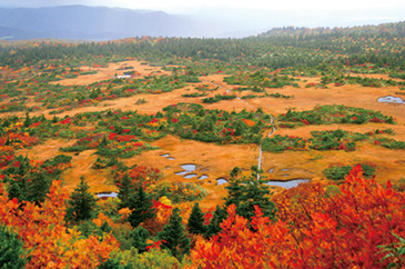 八甲田山[青森県]