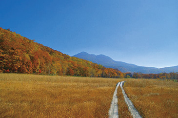 尾瀬ヶ原[福島県・群馬県・新潟県]