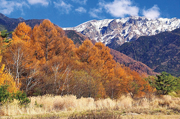 八ヶ岳[長野県・山梨県]