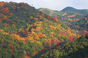 箕面（みのお）[大阪府]