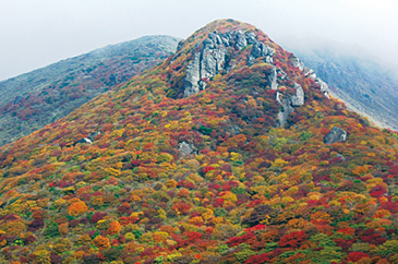 星生山（ほっしょうざん）[大分県]