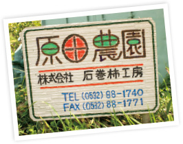 石巻山のふもとに広がる柿畑。石巻柿工房は原田農園の中にある。