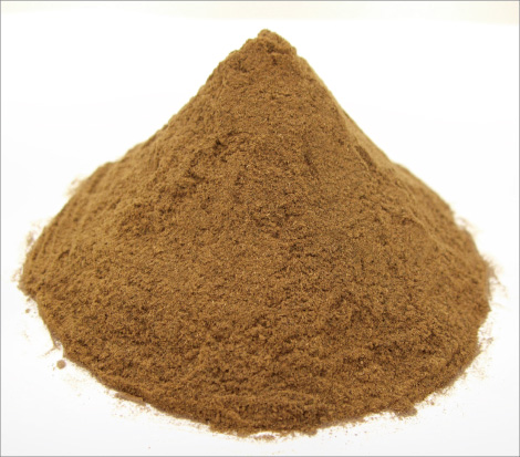 蒸煮・爆砕処理されたバガス。